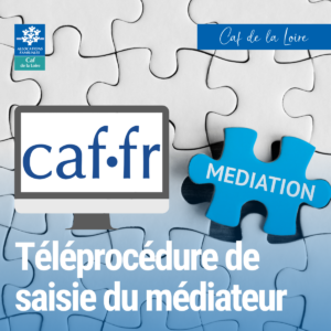 Téléprocédure de saisie du médiateur