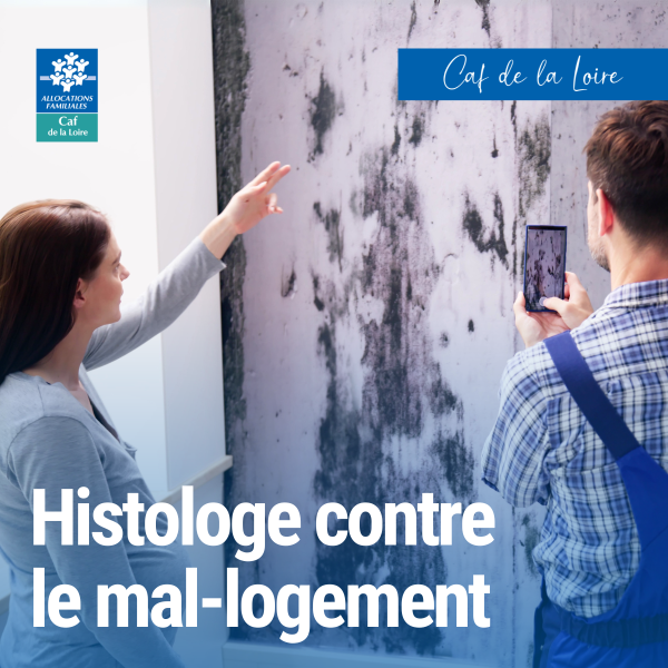 Histologe contre le mal logement