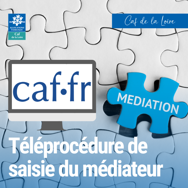 Téléprocédure de saisie du médiateur